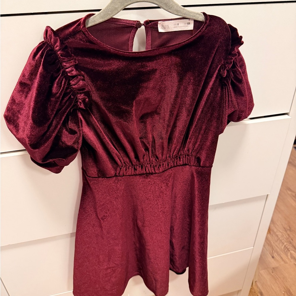 Zara Rich Burgundy Velvet Top